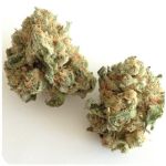 Шишки "White Widow"  (Белая вдова)  Гидропоника -  Бошка VHQ в Жигулёвске