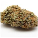 Шишки AK47 (Гидропоника, Бошка) VHQ в Жигулёвске Шишки AK47 (Гидропоника, Бошка) VHQ в Жигулёвске